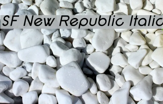 SF New Republic Italic Example 1