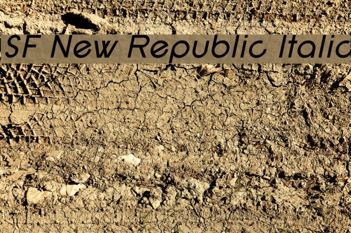 SF New Republic Italic Font examples