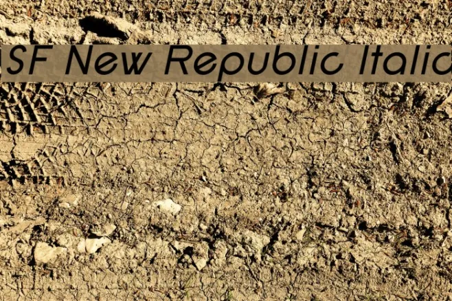 SF New Republic Italic Example 2
