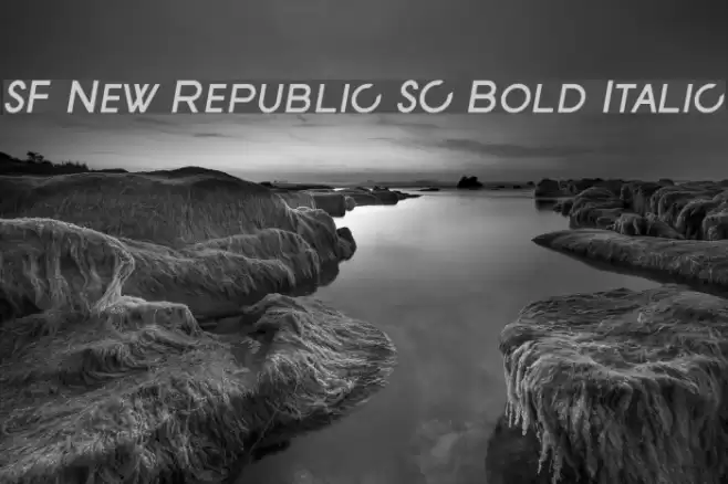 SF New Republic SC Bold Italic Font examples