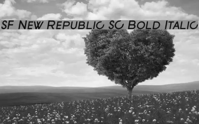 SF New Republic SC Bold Italic Font examples