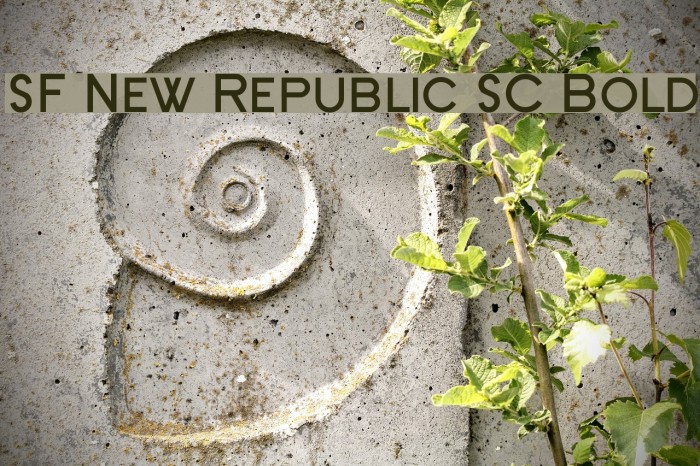 SF New Republic SC Bold Font examples