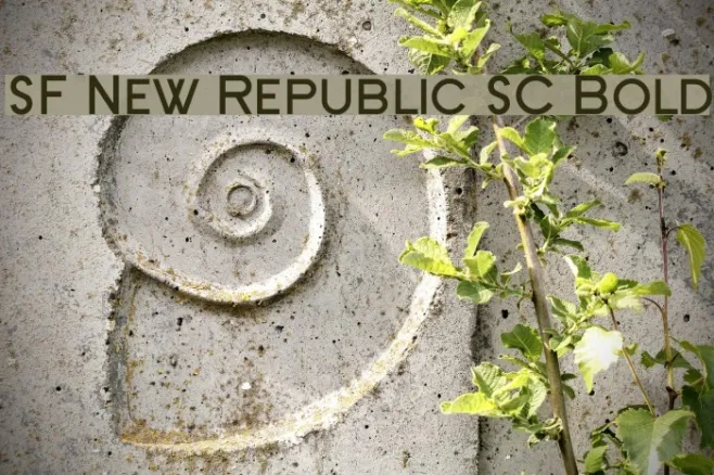 SF New Republic SC Bold Example 1