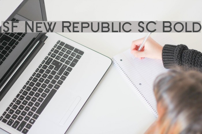 SF New Republic SC Bold Font examples