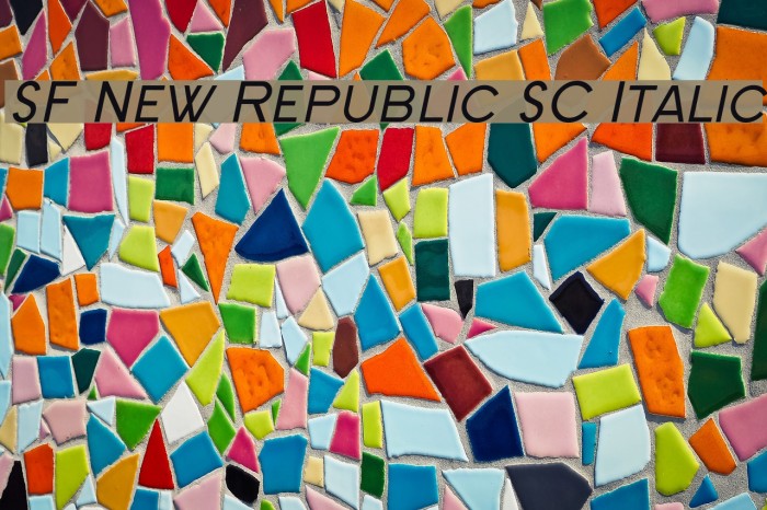 SF New Republic SC Italic Font examples