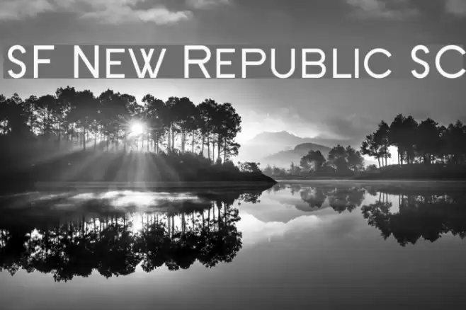 SF New Republic SC Font examples