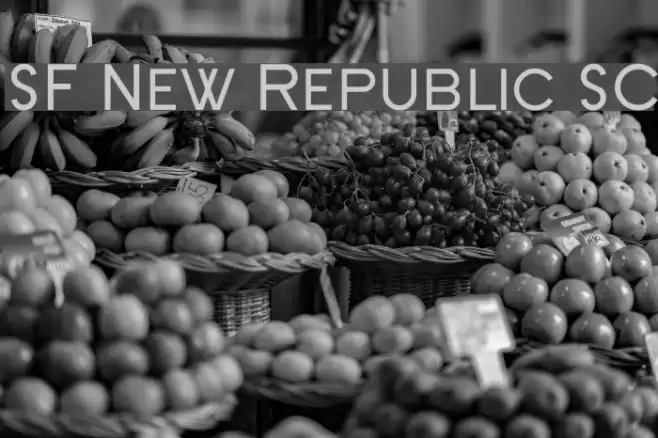 SF New Republic SC Font examples