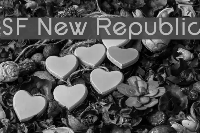 SF New Republic Font examples