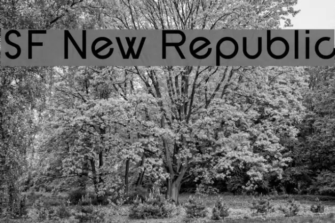 SF New Republic Font examples