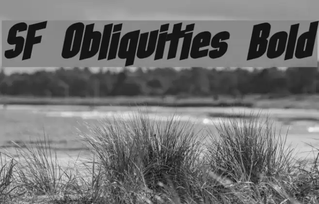 SF Obliquities Bold フォント examples