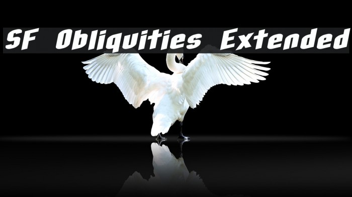 SF Obliquities Extended Font examples
