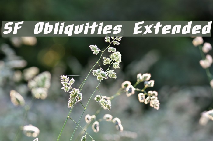 SF Obliquities Extended Font examples