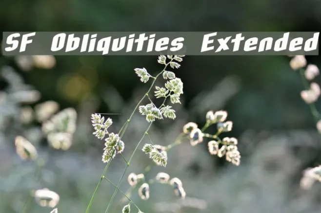 SF Obliquities Extended Example 2