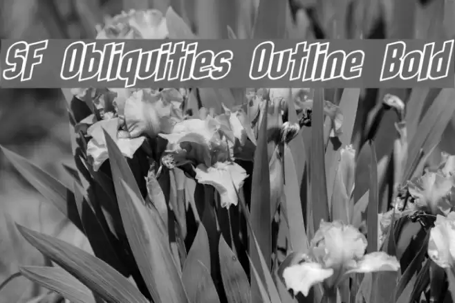 SF Obliquities Outline Bold Font examples
