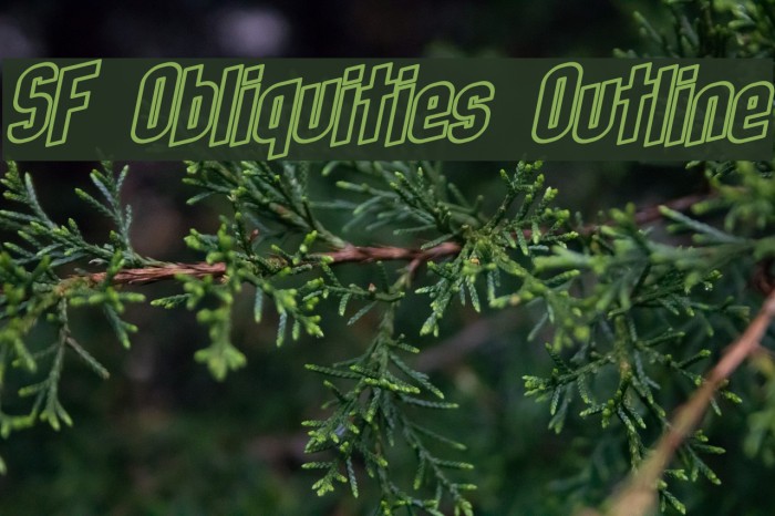 SF Obliquities Outline Font examples