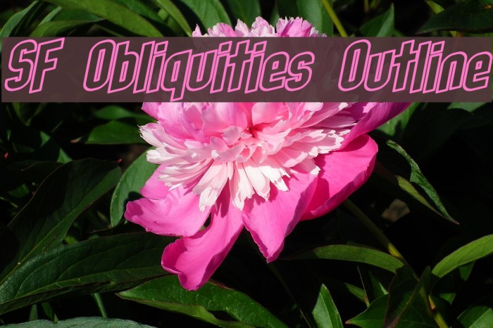 SF Obliquities Outline Font examples