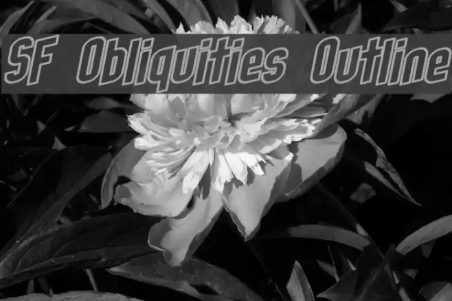 SF Obliquities Outline フォント examples
