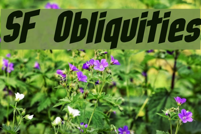 SF Obliquities Font examples