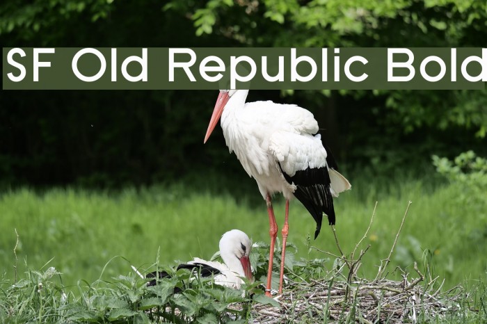 SF Old Republic Bold Font examples
