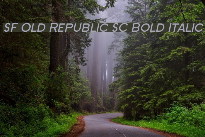SF Old Republic SC Bold Italic Font examples