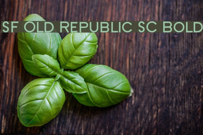 SF Old Republic SC Bold Font examples