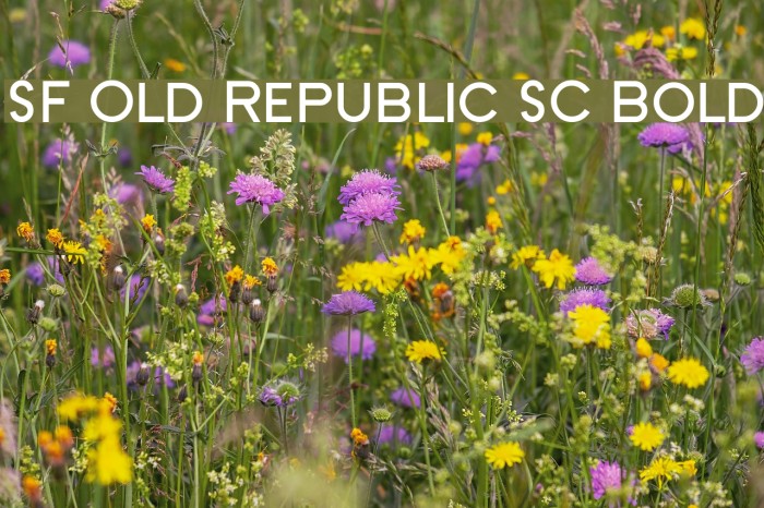 SF Old Republic SC Bold Font examples