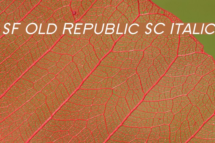 SF Old Republic SC Italic Font examples
