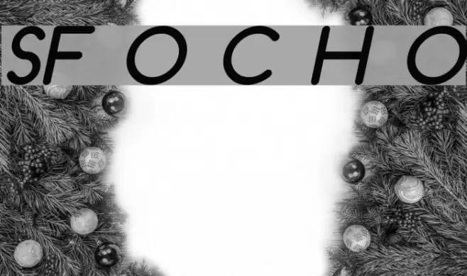 SF Orson Casual Heavy Oblique フォント examples