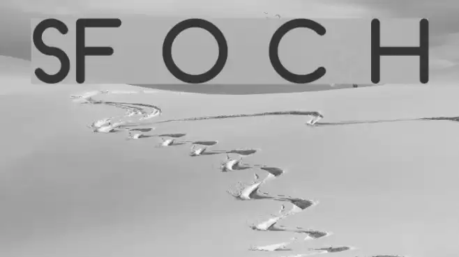 SF Orson Casual Heavy Font examples