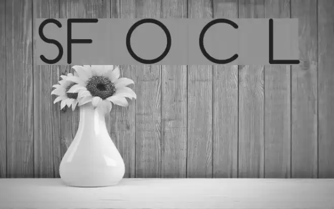 SF Orson Casual Light Font examples