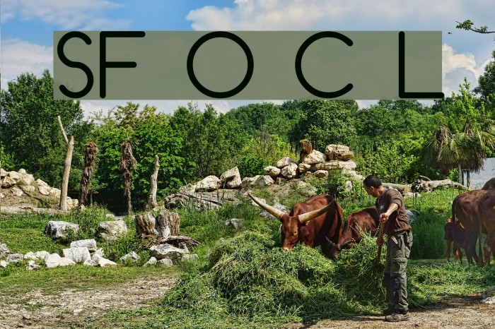 SF Orson Casual Light Font examples