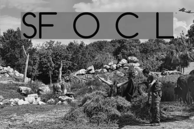 SF Orson Casual Light Font examples