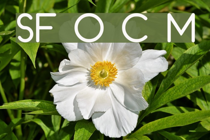 SF Orson Casual Medium Font examples