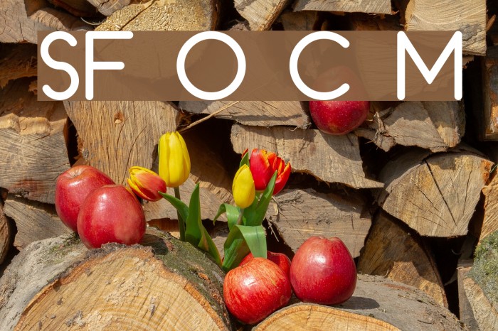 SF Orson Casual Medium Font examples