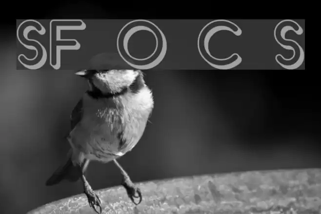 SF Orson Casual Shaded Font examples