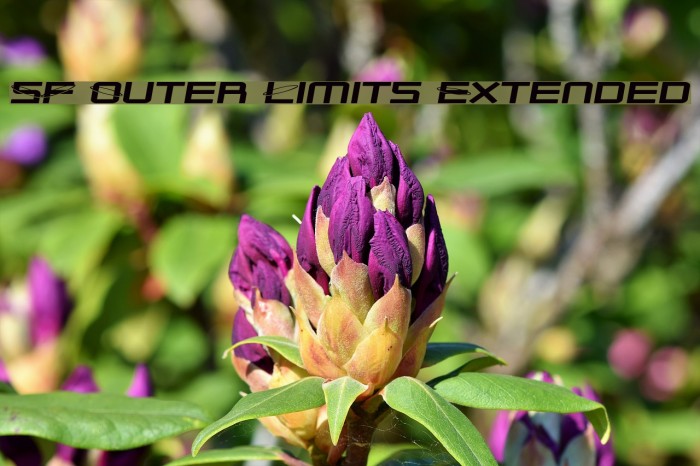 SF Outer Limits Extended لخطوط تنزيل examples
