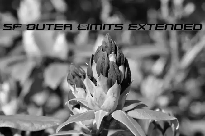 SF Outer Limits Extended خط examples