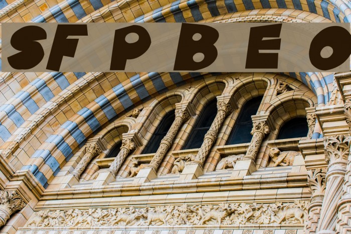 SF Pale Bottom Extended Oblique Font examples