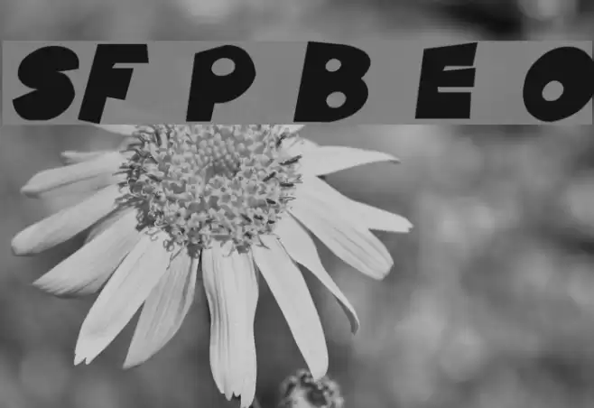 SF Pale Bottom Extended Oblique फ़ॉन्ट examples