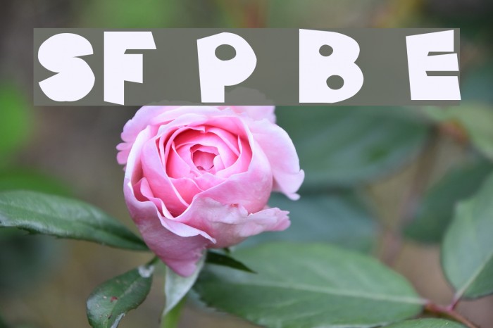 SF Pale Bottom Extended Font examples