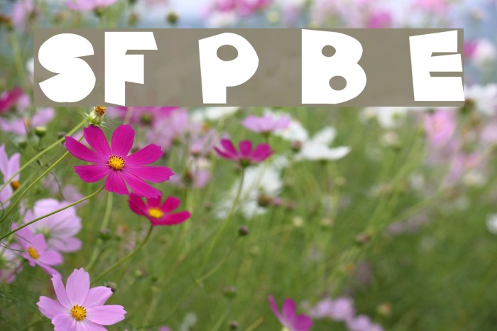 SF Pale Bottom Extended Font examples