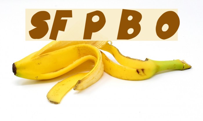 SF Pale Bottom Oblique Font examples