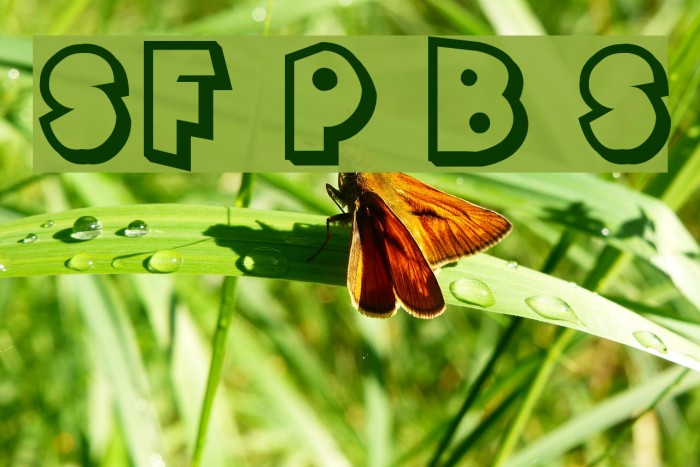 SF Pale Bottom Shaded Font examples
