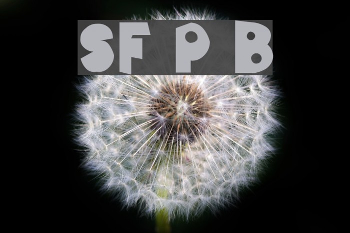 SF Pale Bottom Font examples