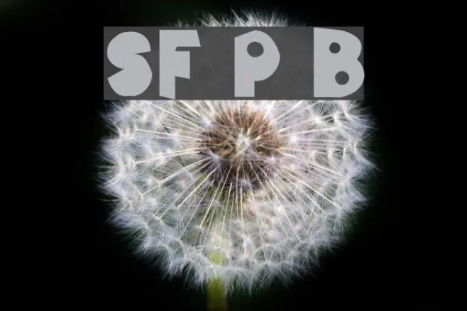 SF Pale Bottom Example 2