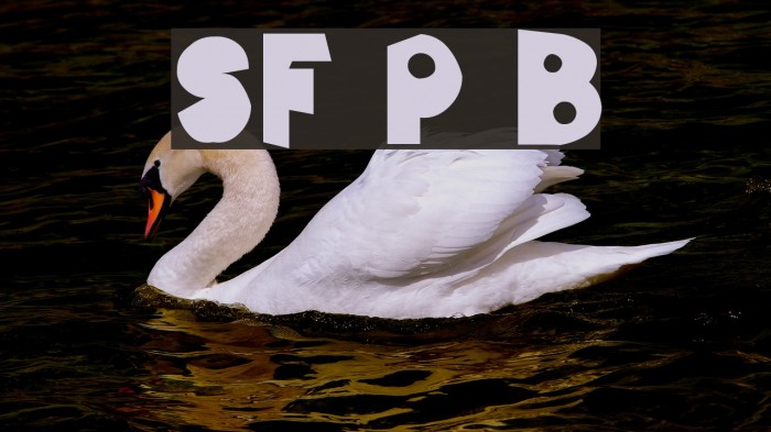 SF Pale Bottom Font examples