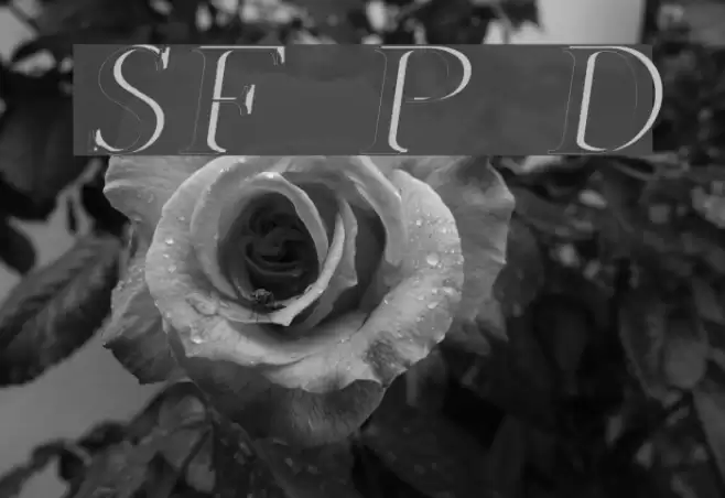 SF Phosphorus Dihydride Font examples