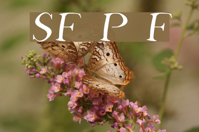 SF Phosphorus Fluoride Font examples