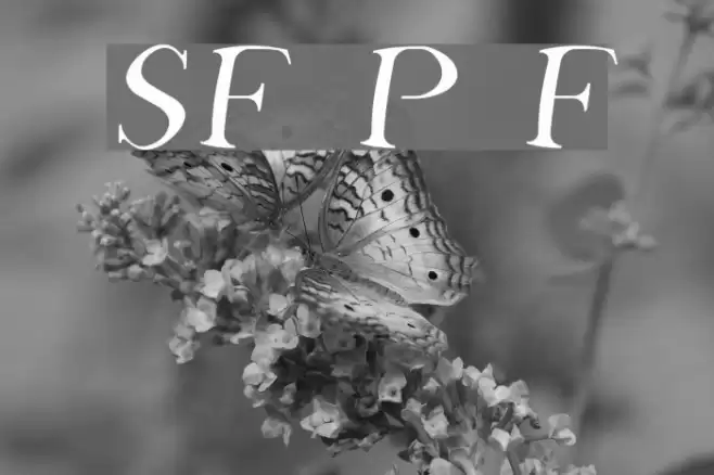 SF Phosphorus Fluoride Font examples