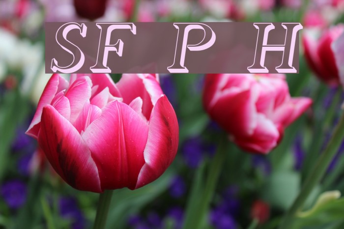 SF Phosphorus Hydride Font examples
